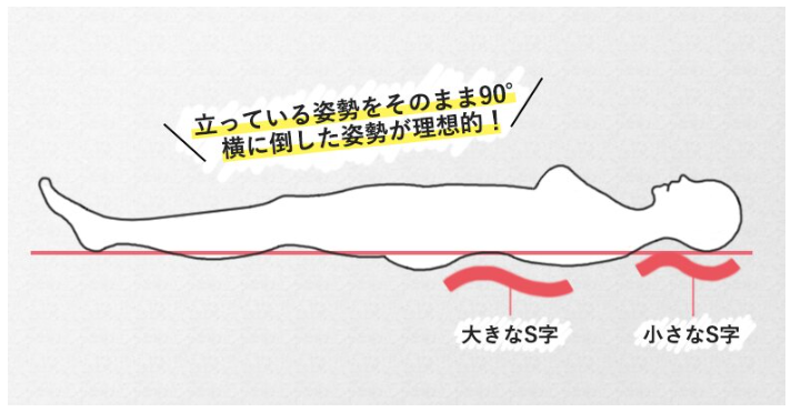 睡眠姿勢の図解